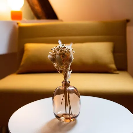 Le Duplex Du Centre-ville - Chez Pauline & Yoan