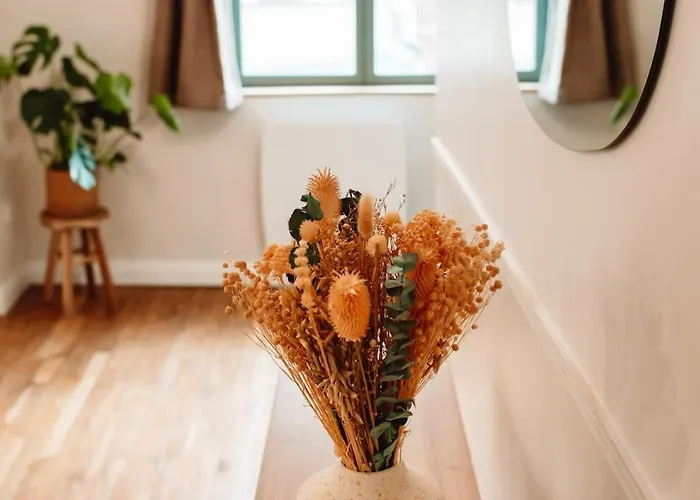 Le Duplex Du Centre-ville - Chez Pauline & Yoan *