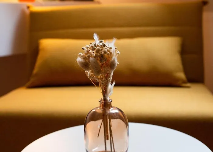 Le Duplex Du Centre-ville - Chez Pauline & Yoan